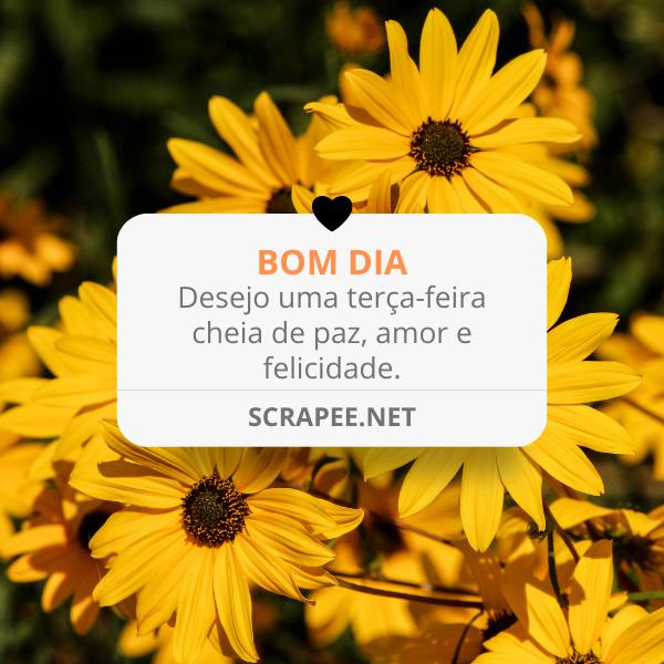 Desejo uma terça-feira cheia de paz, amor e felicidade.
