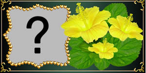 Moldura com Flor de Hibisco. Qual Foto do Album você colocaria nela?