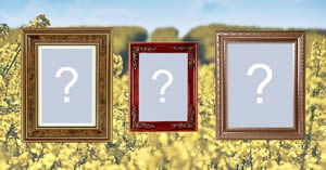 Moldura para 3 fotos com bordas largas!