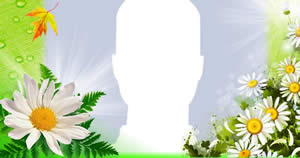 Moldura de margaridas!