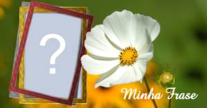 Linda moldura para foto com flor branca e frase personalizada!
