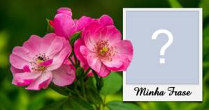 Linda moldura com flores pink e foto em estilo polaroid + frase de sua escolha!