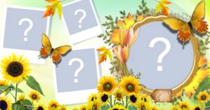 Moldura de Girassóis. Escolha 4 fotos do seu álbum e faça a sua!