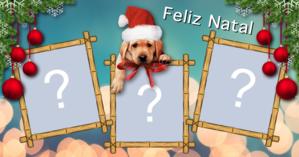 Linda moldura de Natal com cachorrinho. Coloque três fotos!