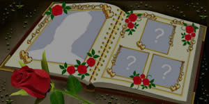 Faça um lindo álbum com 4 fotos!