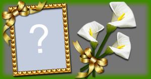 Moldura com Flor de copo de leile. Faça com sua Foto!