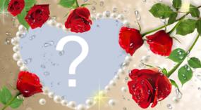  Beau cadre de roses pour que tu puisses mettre tes photos!