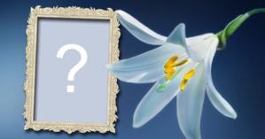 Photo Frame with White Lily! Add your photo!