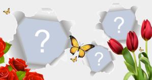 Moldura papel rasgado. Escolha 3 fotos do seu álbum e faça a sua!