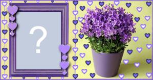 Moldura com vaso de Flor Roxa. Qual Foto você colocaria?