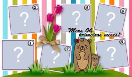 Moldura para você Memorizar os 6 primeiros Mêses do seu Bebê!