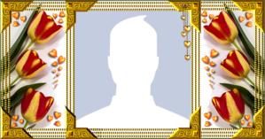 Como ficaria sua Foto de perfil nesta Moldura com Tulipas?