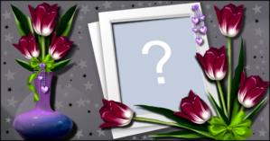 Coloque sua Foto nesta linda Moldura de Tulipas!