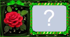 Moldura de Fitas Verdes com Rosa vermelha. Faça com sua foto!