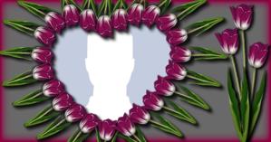 Moldura de Tulipas com sua Foto de Perfil. Faça a sua!