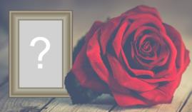 Moldura Preto e Branco com uma Rosa Vermelha. Adicione sua Foto! Moldura Preto e Branco com uma Rosa Vermelha. Adicione sua Foto!