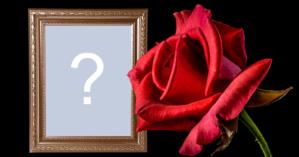 Bela moldura com rosa vermelha, moldura de madeira e fundo preto. Adicione sua foto