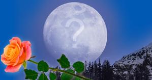 Linda Moldura para você adicionar uma Foto sua na Lua. Qual Foto você escolheria?