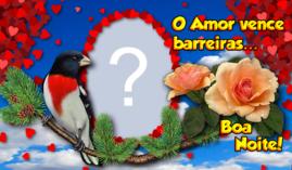 Moldura de Boa Noite, O amor vence... Coloque sua Foto!