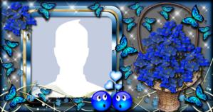 Como ficaria sua foto de perfil nesta Linda Moldura com Cesta de Flores Azuis?