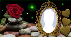 Como ficaria sua Foto de perfil nesta Linda Moldura de rosa Vermelha?