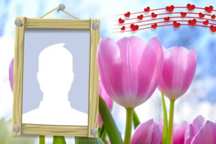 Beautiful photo frame with pink tulips. Add your photo
