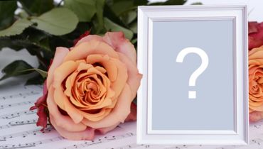 Beautiful photo frame with orange rose and white border!