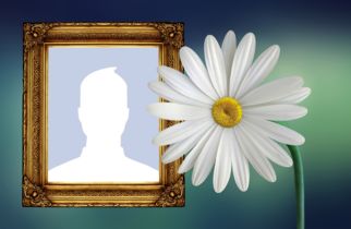Frumoasă fotografie montajă cu margaretă și cadru de aur