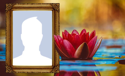 Cadou fotografic frumos cu floare de flori!