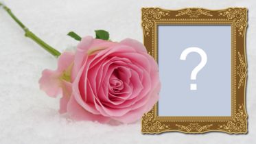 Frumoasă fotografie montajă cu cadru de trandafir și lemn! Adăugați fotografia