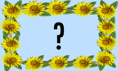 Como ficaria sua Foto na Moldura com Girassóis e um passarinho?