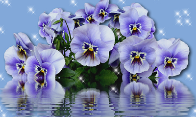 Como ficaria sua Foto na Moldura com Flores Lilás?