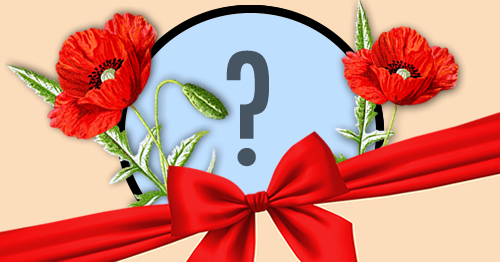 Linda Cartão de Tulipas para você por a sua Foto: