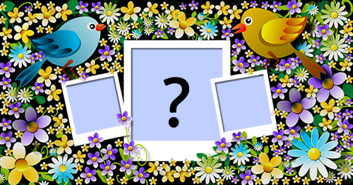 Moldura com passarinhos. Adicione a sua foto!