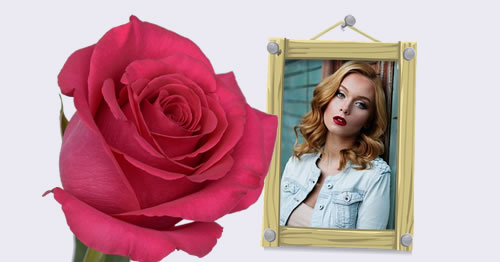Coloque sua foto em uma linda moldura com uma linda Rosa!