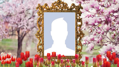 Montagem com Moldura Dourada, e Tulipas. Adicione sua foto.