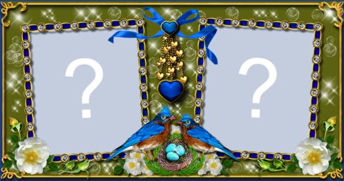 Linda Moldura com passarinho no ninho. Faça com sua foto!