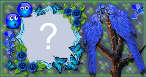 Moldura com passarinhos azuis