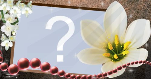 Moldura de tulipas branca. Escolha sua foto preferida e faça sua!