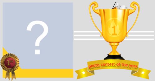  Which photo of yours deserves the photo trophy of the year?