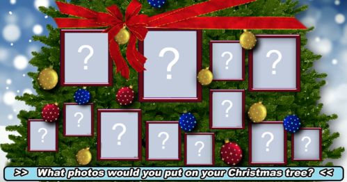 What 12 photos would you put on your Christmas Tree?