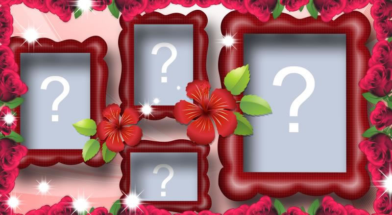 Veja o melhor da sua vida em 4 fotos!