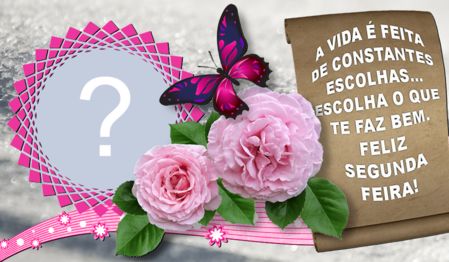 Segunda Feira de escolhas. Faça com a sua foto!