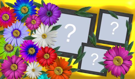 Linda moldura de flores coloridas com 3 fotos. Faça a sua!