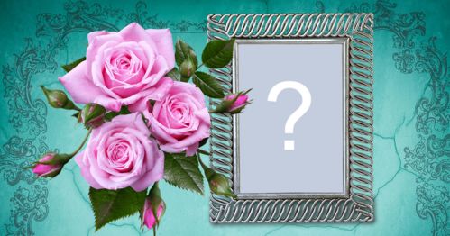 Ajoutez votre photo dans ce magnifique cadre avec des roses et un fond bleu!
