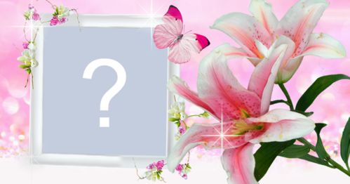 Moldura de Orquídea. Escolha uma foto do seu álbum e faça a sua! 