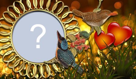 Schöner Rahmen mit kleinem Vogel. Fügen Sie Ihr Foto hinzu!