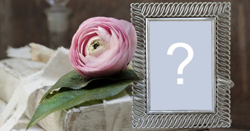 Hermoso marco con flor rosa en el libro y borde plateado! ¡Agregar una foto!