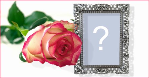 Linda moldura com uma magnífica rosa e borda prateada!