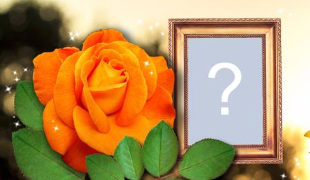 Linda Montagem com rosa laranja e borda dourada. Adicione uma foto!